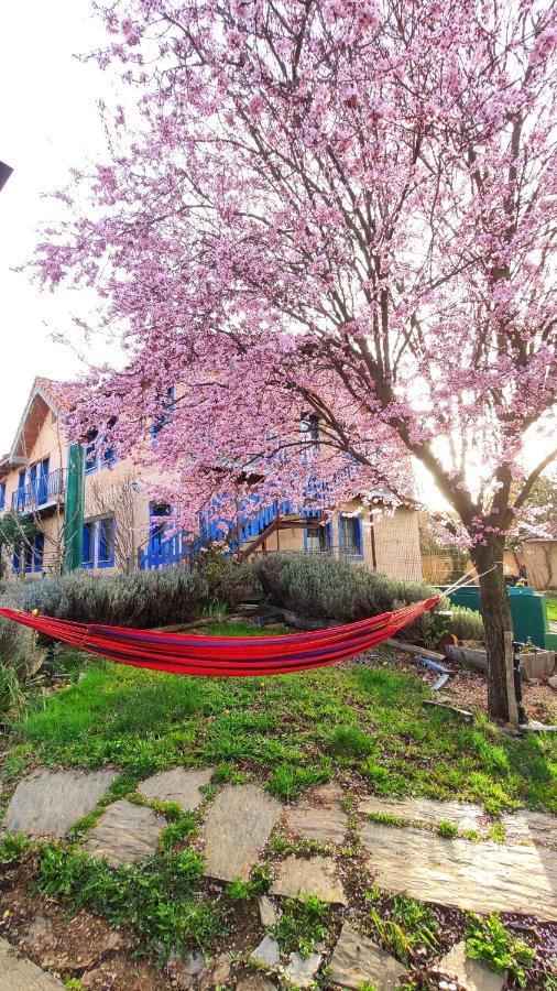 Albergue De Peregrinos Casa Flor Murias de Rechivaldo ภายนอก รูปภาพ