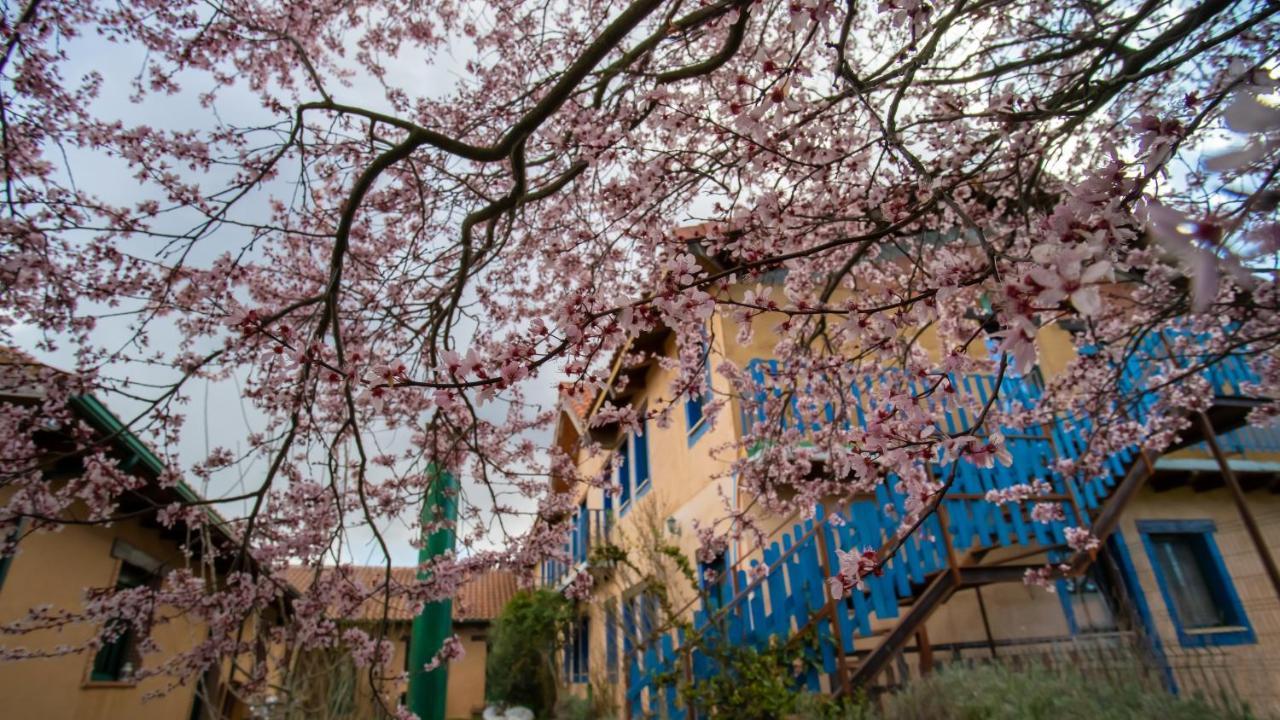 Albergue De Peregrinos Casa Flor Murias de Rechivaldo ภายนอก รูปภาพ